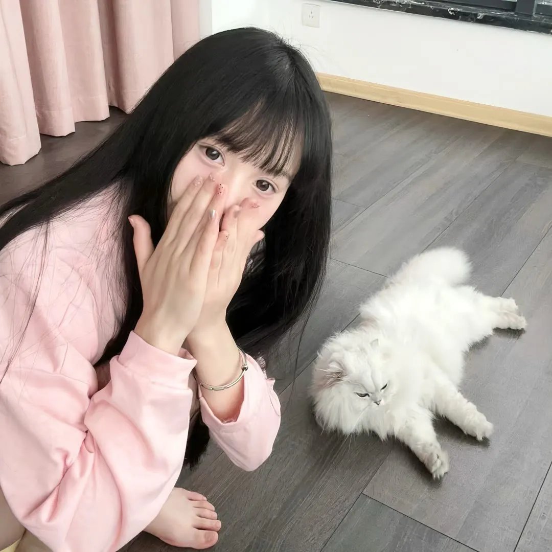 我来也大战四猛虎